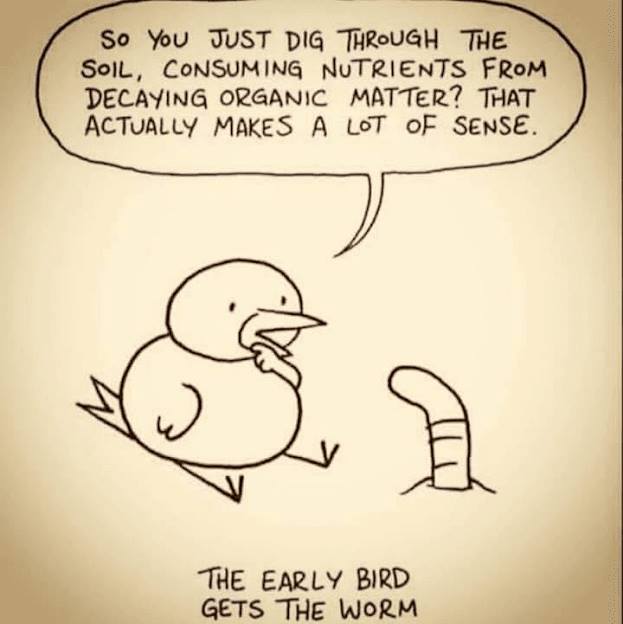 the_early_bird_gets_the_worm.jpg
