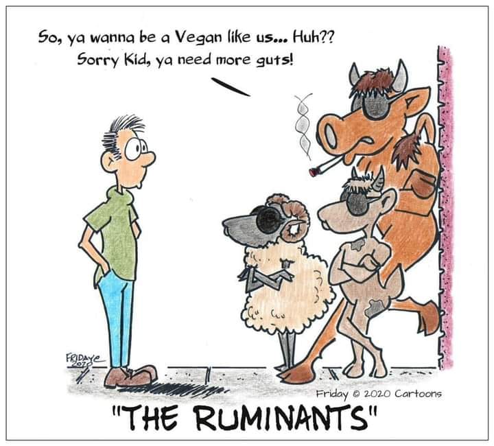Ruminants.jpg